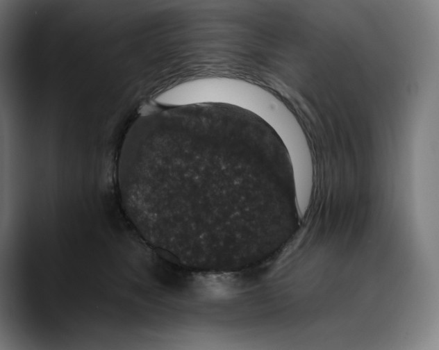 X0000088920517200707061405