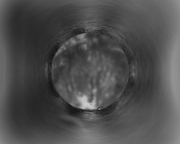 X0000088920519200707061405