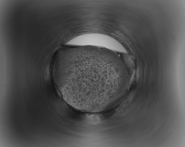 X0000088920520200707061405
