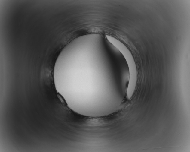X0000088920521200707061405