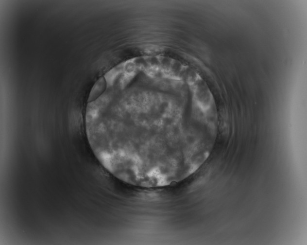 X0000088920523200707061405
