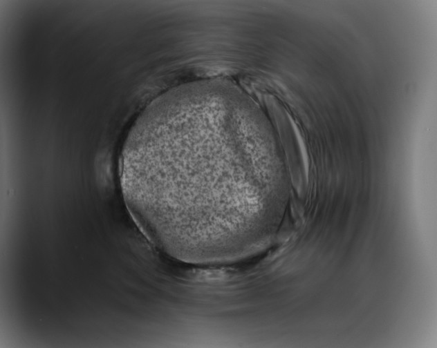 X0000088920524200707061405