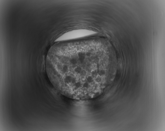 X0000088920527200707061405