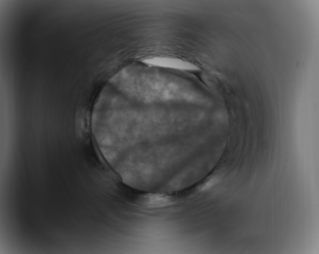 X0000088920528200707061405