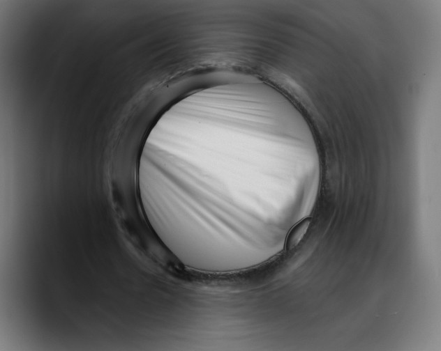 X0000088920530200707061405