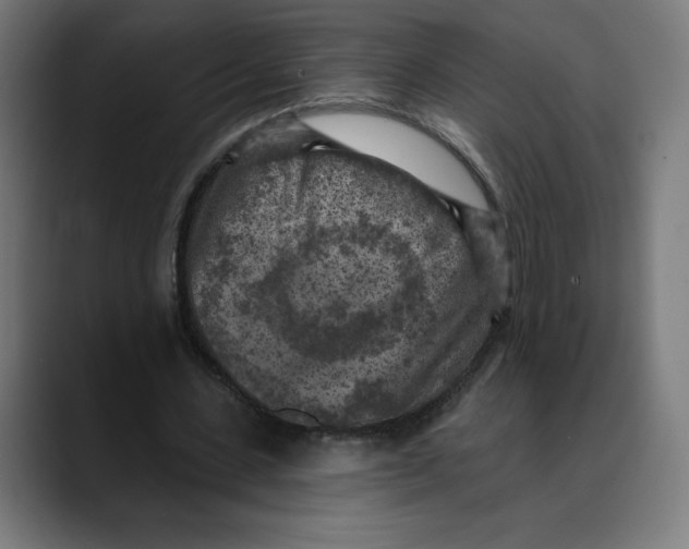 X0000088920531200707061405