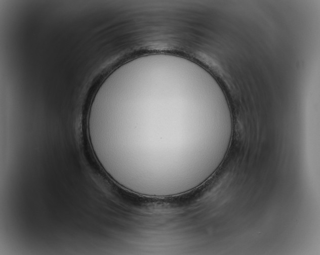 X0000088920535200707061405