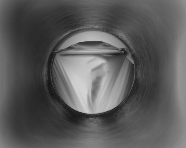 X0000088920536200707061405