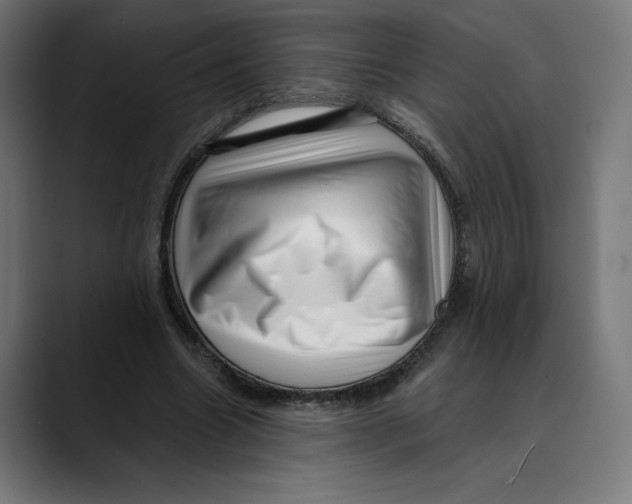 X0000088920538200707061405