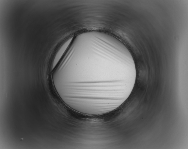 X0000088920539200707061405
