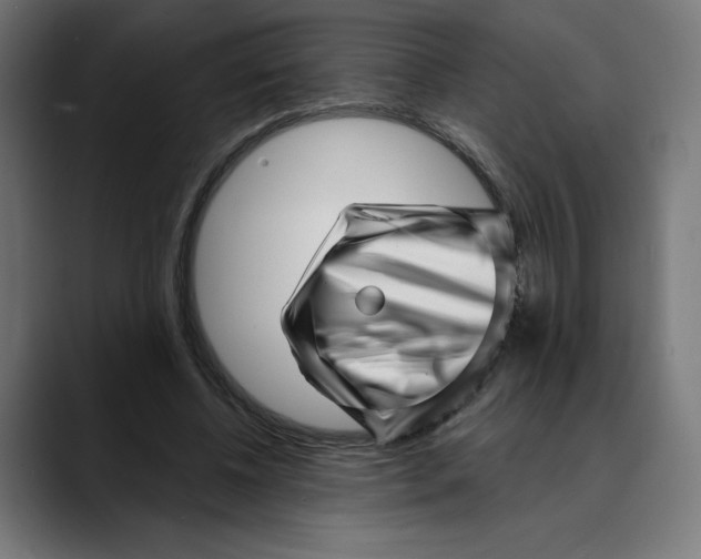 X0000088920540200707061405
