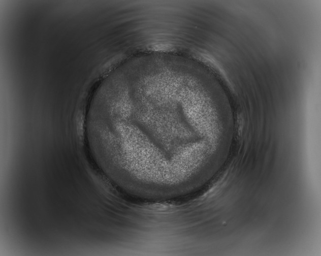 X0000088920542200707061405