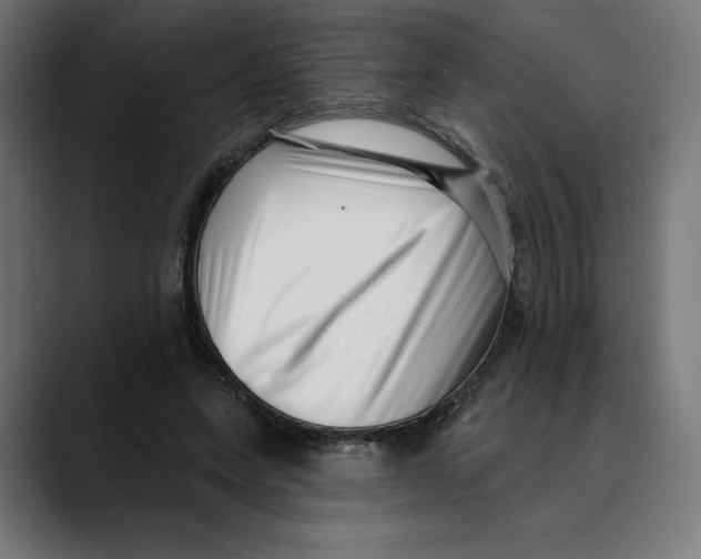 X0000088920543200707061405