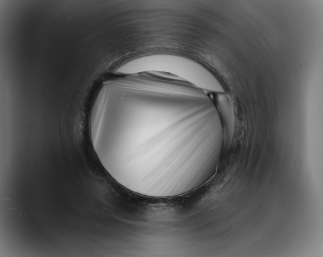 X0000088920544200707061405