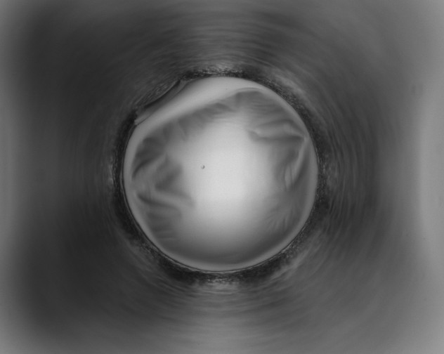 X0000088920546200707061405