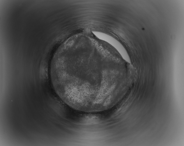 X0000088920547200707061405