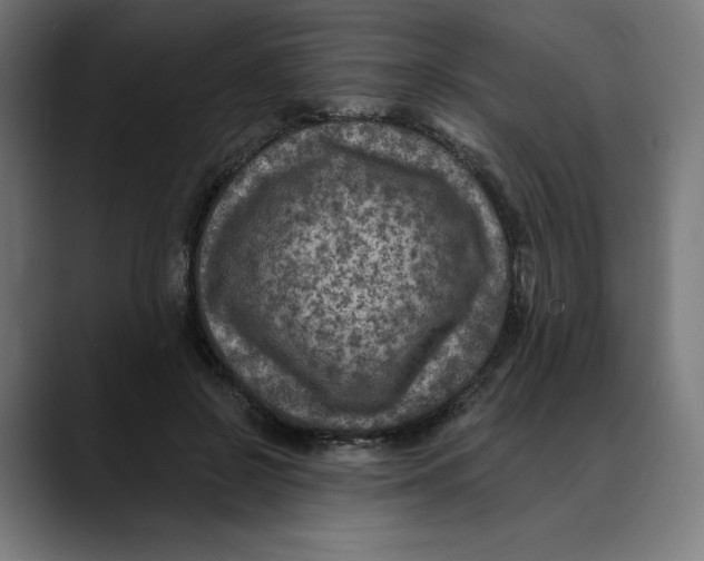 X0000088920550200707061405