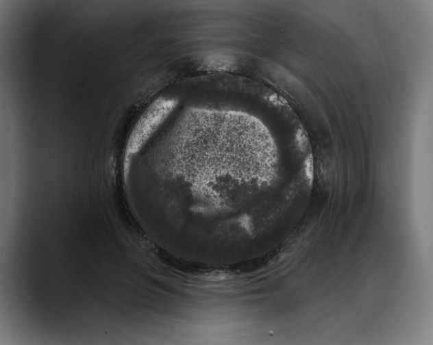 X0000088920551200707061405
