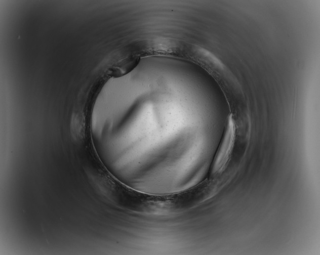 X0000088920552200707061405