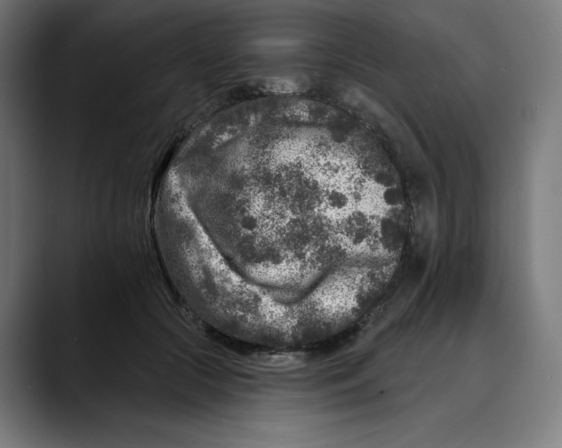 X0000088920553200707061405
