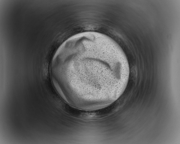 X0000088920554200707061405