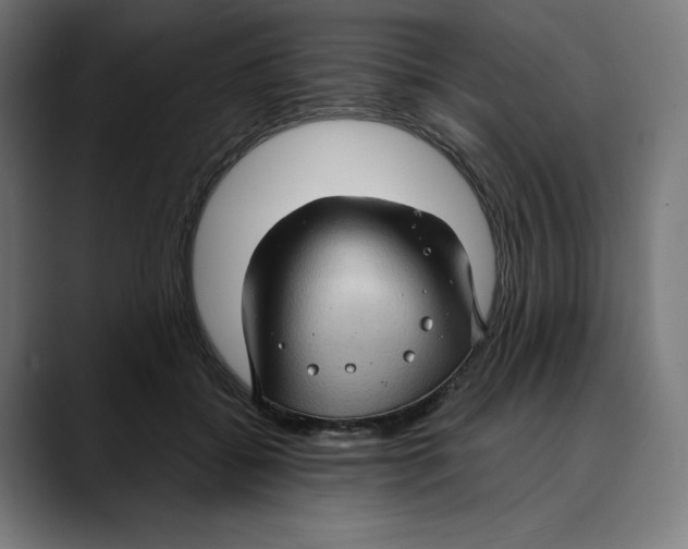 X0000088920556200707061405