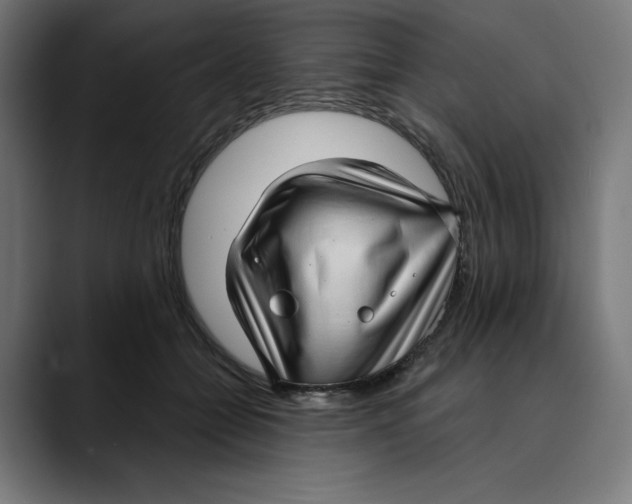 X0000088920558200707061405