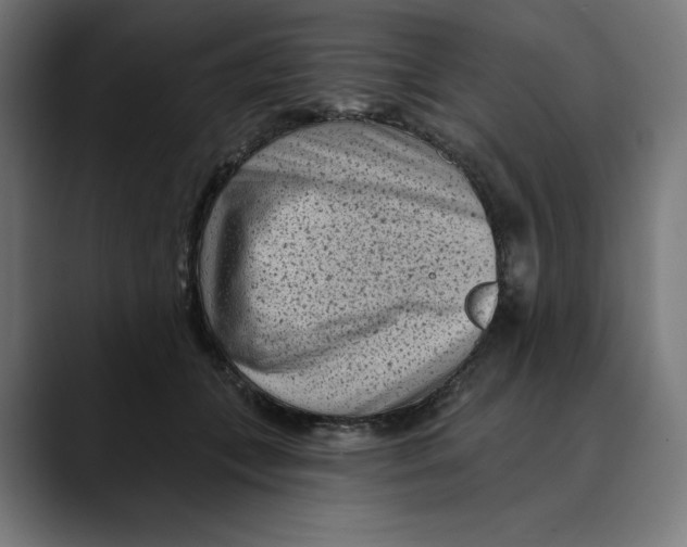 X0000088920559200707061405