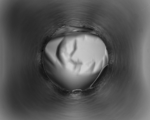 X0000088920560200707061405