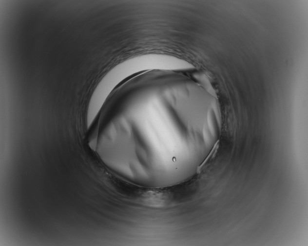 X0000088920562200707061405