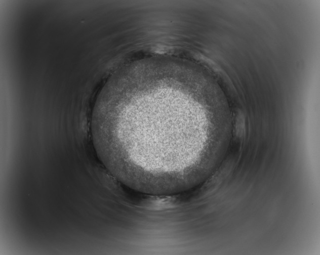X0000088920569200707061405