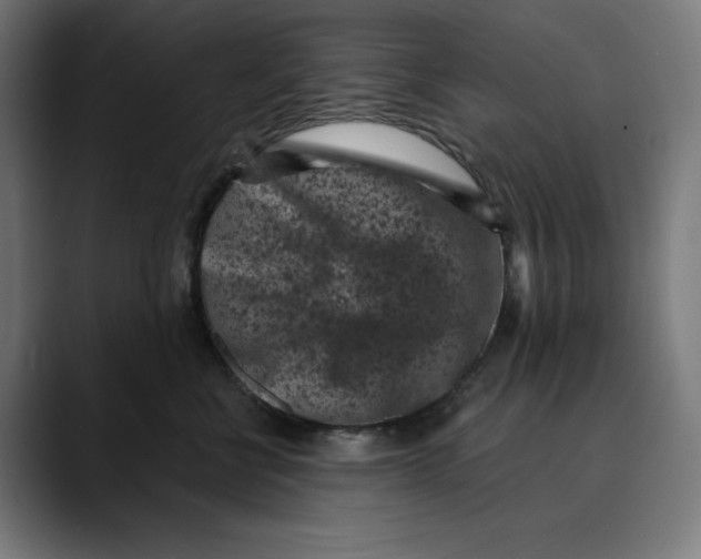 X0000088920570200707061405