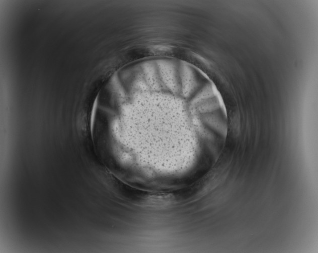 X0000088920571200707061405