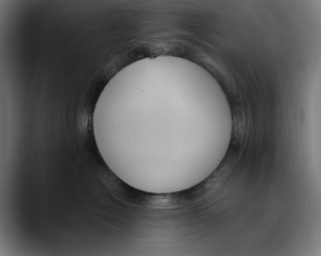 X0000088920574200707061405