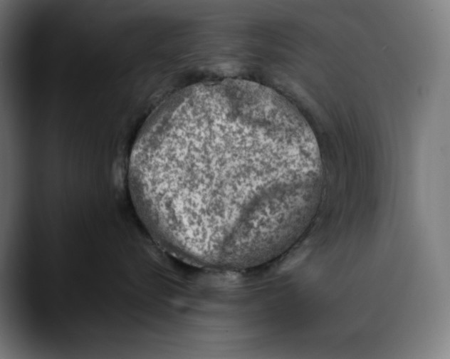 X0000088920576200707061405
