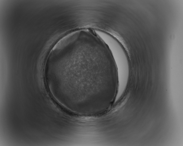X0000088920577200707061405