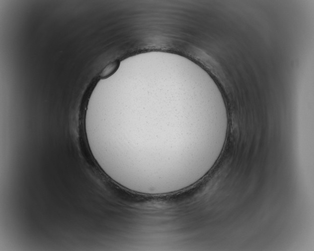 X0000088920578200707061405