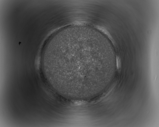 X0000088920579200707061405