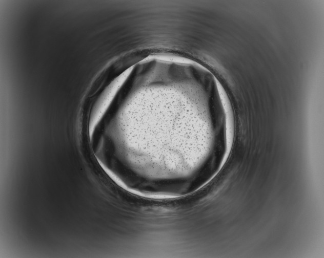 X0000088920580200707061405
