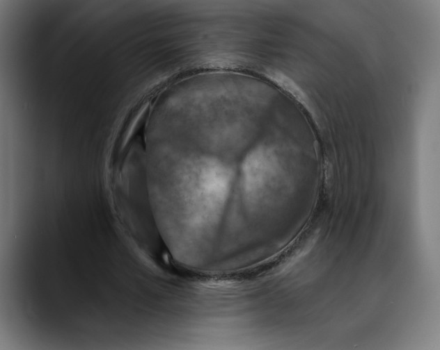 X0000088920581200707061405