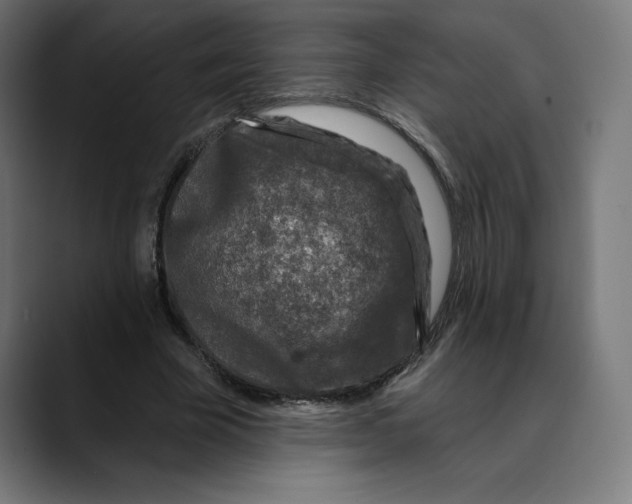 X0000088920585200707061405