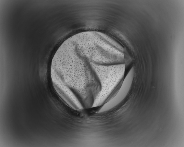 X0000088920588200707061405
