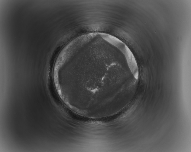 X0000088920590200707061405