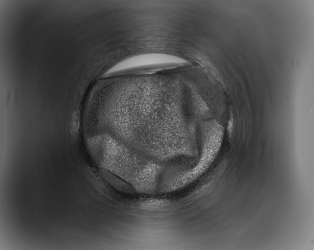 X0000088920593200707061405