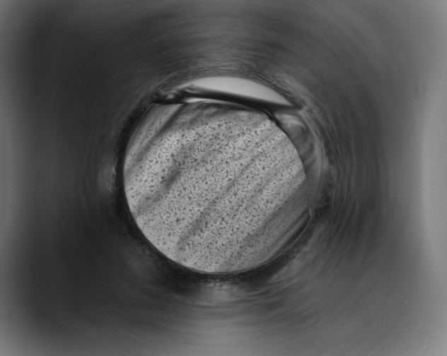 X0000088920596200707061405