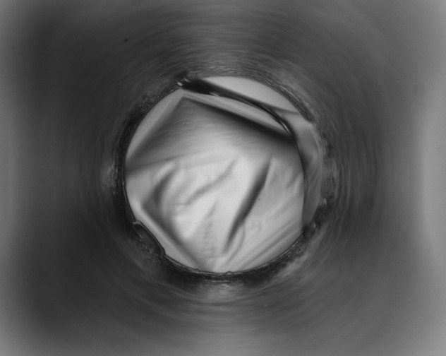 X0000088920597200707061405