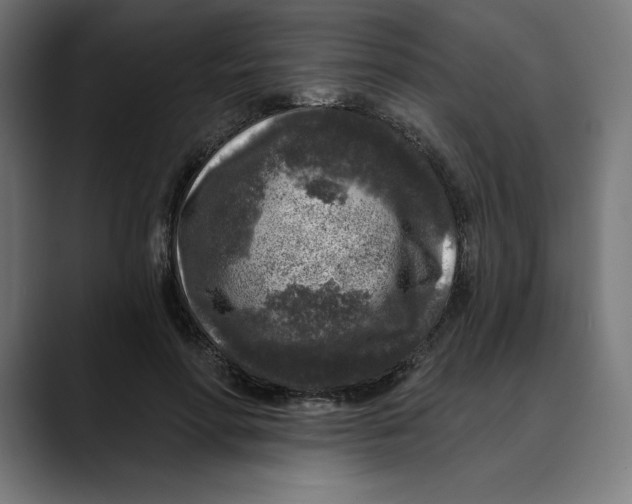 X0000088920598200707061405