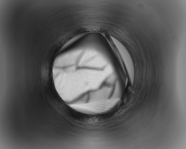 X0000088920600200707061405