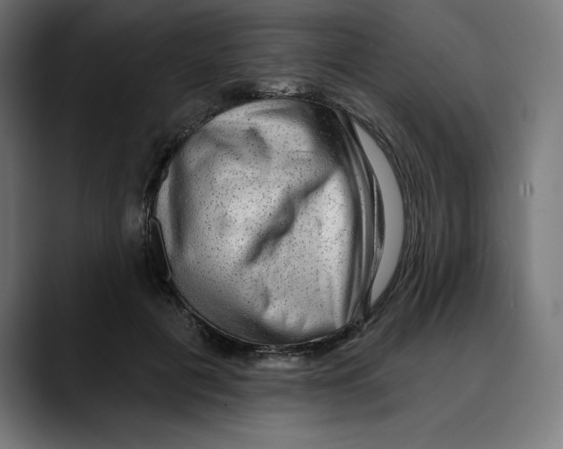 X0000088920601200707061404