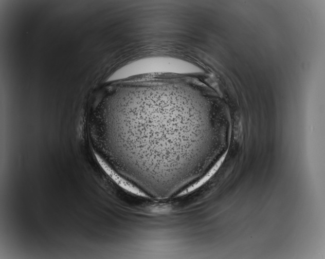 X0000088920604200707061404